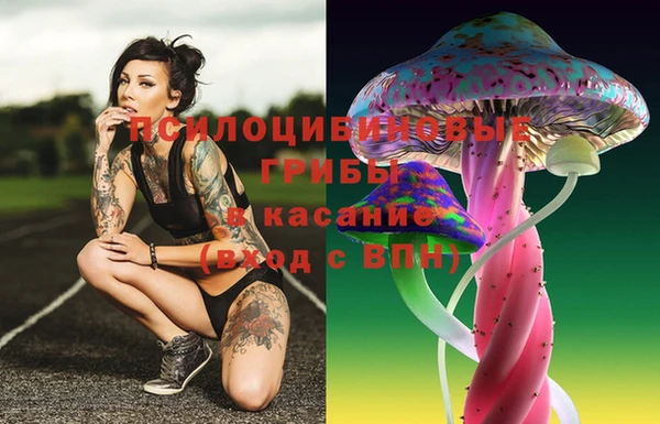 эйфоретик Елабуга
