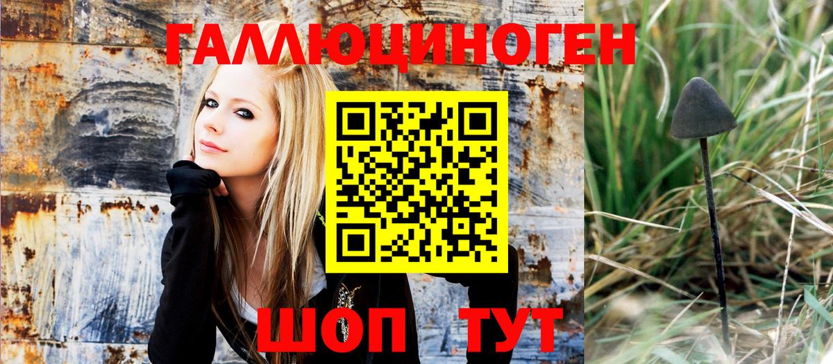 Галлюциногенные грибы Psilocybe  Вход с VPN  Лобня 